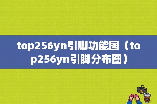 top256yn引脚功能图（top256yn引脚分布图）