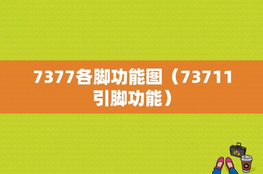 7377各脚功能图（73711引脚功能）