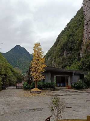 遵义龙门铣床厂怎么样啊（遵义龙门屯是几a级风景区）